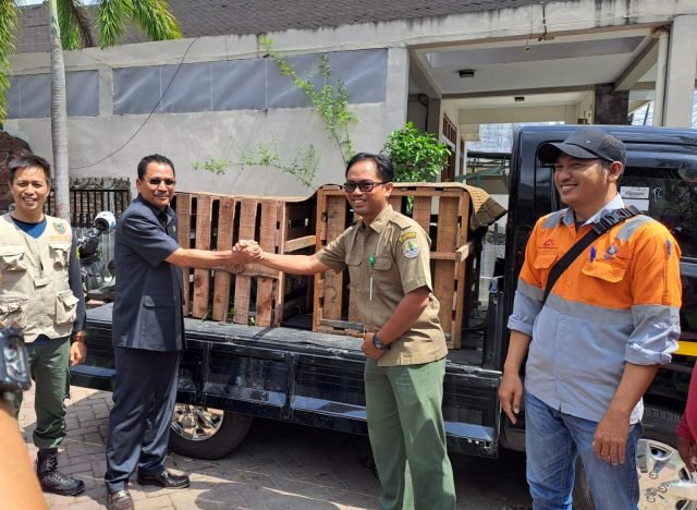 IMG 20221101 WA0052 scaled