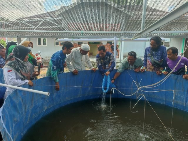 IMG 20221111 WA0009 scaled