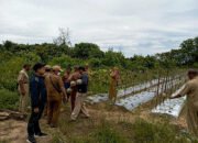 Tim Monev Dampingi Pokmas Cempaka