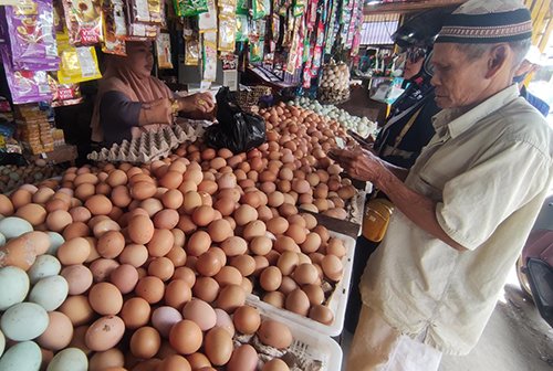 Mahal Lagi, Harga Telur Ayam Ras Rp 31.000 1 8 3klm