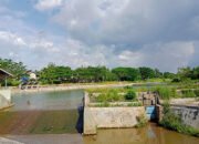 Awas! Hasil Uji Lab Sungai Banjarbaru Masuk Kategori Tercemar Ringan
