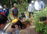 Media Gatering PT ITP Bersama PWI Kotabaru Tanam Pohon