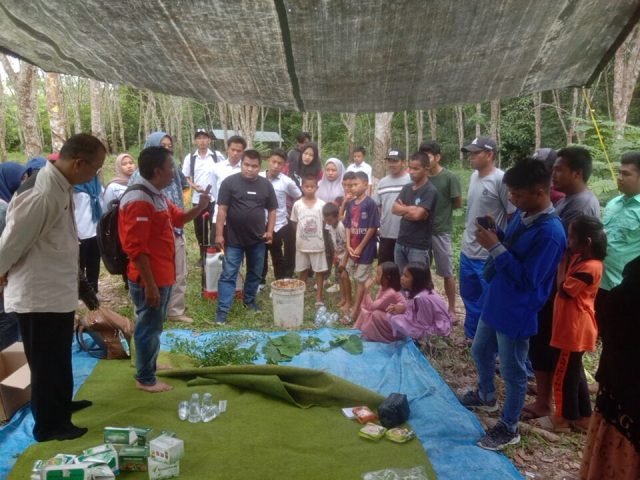 Hal 2 Bal 3 klm scaled