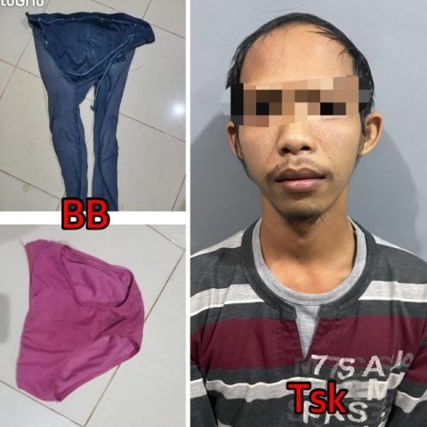 IMG 20221208 WA0059 scaled