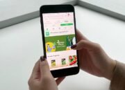 Tips Memilih Tanaman Agar Rumah Lebih Asri ala Tokopedia 29 Tips Memilih Tanaman Agar Rumah Lebih Asri ala Tokopedia