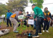 Walikota se Kalimantan Tanam Pohon di Pasar Bauntung