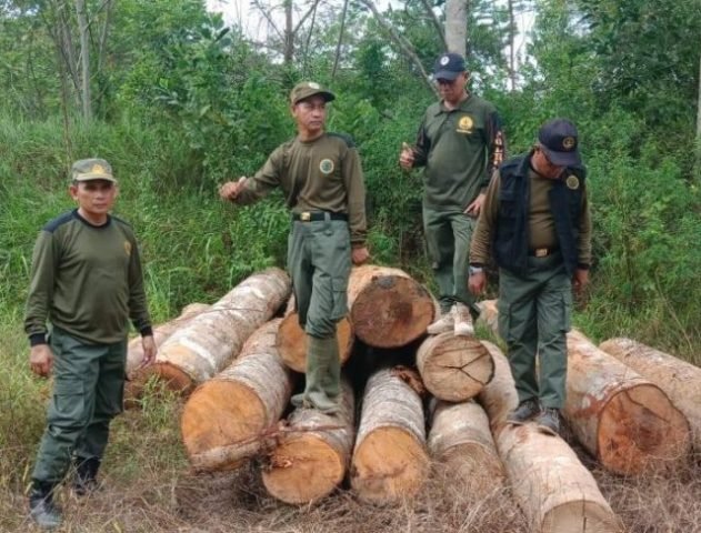 1 25 klm kayuu scaled