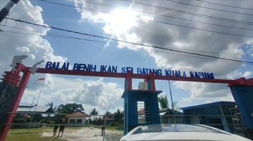 16 Foto Kapuas1 2