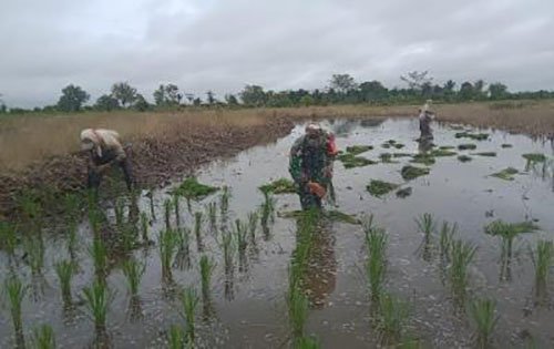 Hal 2 Rantau 4 klm 2