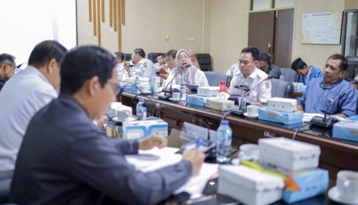 DPRD Kalsel Komitmen Kawal Evaluasi Tambang di Panyipatan