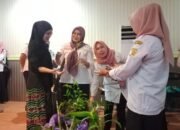 Menilik Cuan Dari Agribisnis Anggrek Dinamis