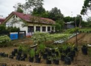 SMKN 1 Haruai Memprihatinkan dan Sulit Berkembang