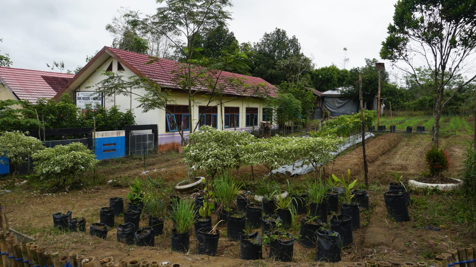 SMKN 1 Haruai Memprihatinkan dan Sulit Berkembang 1 IMG 20230201 WA0012