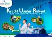 Kredit dan Pembiayaan Bank Kalsel Tumbuh Positif Sebesar 23, 64 Persen