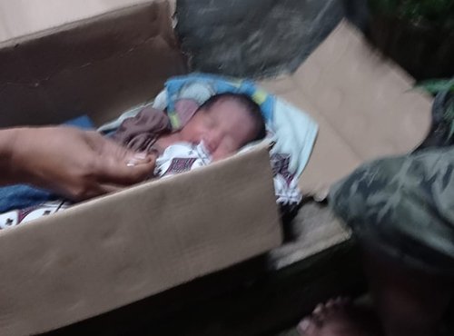 5 HL Bayi dalam Kardus Mie 2klm