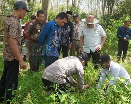 Bupati Balangan Diusulkan Terima Tanda Kehormatan 2 Hal 2 Bal 2 3 klm