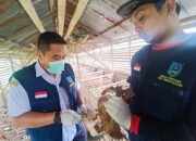 Pemprov Gerak Cepat Meningkatkan Kewaspadaan Flu Burung