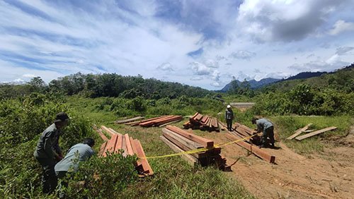 1 3 klm 5 cm Pengamanan hutan
