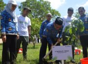 13 Ribu Bibit Pohon Siap Ditanam di Kabupaten Banjar