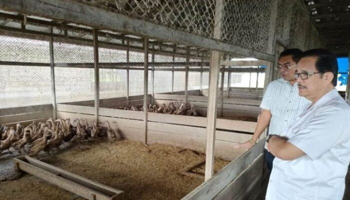 Teras Narang Sebut Manfaat Food Estate Mulai Terasa oleh Petani