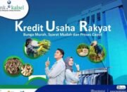 KUR Bank Kalsel Ajak Tambah Modal Usaha Pakai KUR, Bunga Super Ringan Prosesnya Mudah dan Cepat
