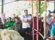 Aditya Mufti Ariffin Buka Pengembangan Ternak Kambing
