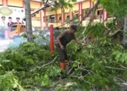 Kota Amuntai 'Berbungas' Diri Menjelang Harjad ke-71 16 Kota Amuntai ‘Berbungas’ Diri Menjelang Harjad ke-71