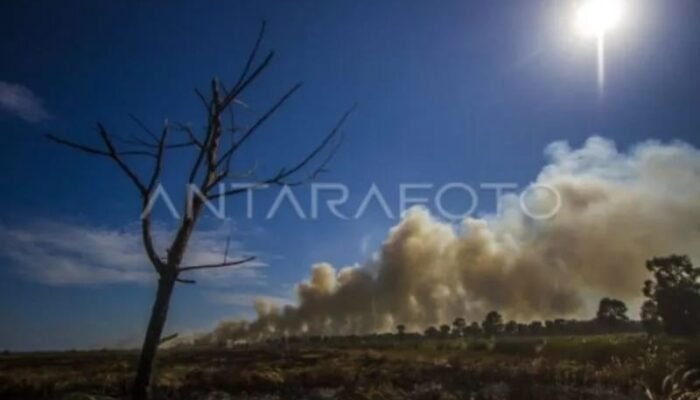 Tapin Bersiaga Hadapi Potensi Karhutla