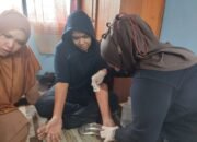 Speedboat Pecah dan Tenggelam di Pulau Burung Kotabaru, Dua Meninggal dan Tujuh Selamat