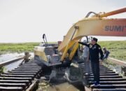 Alur Transportasi Sungai Palbatu Lumpuh Akibat Eceng Gondok 11 Alur Transportasi Sungai Palbatu Lumpuh Akibat Eceng Gondok