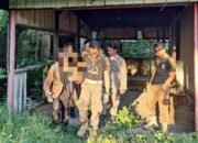 Resahkan Warga, Petugas Satpol PP Amankan ODGJ 26 Resahkan Warga, Petugas Satpol PP Amankan ODGJ