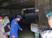 Diduga Alami Gangguan Jiwa, Seorang Wanita Menceburkan Diri ke Sungai. 23 Diduga Alami Gangguan Jiwa, Seorang Wanita Menceburkan Diri ke Sungai.