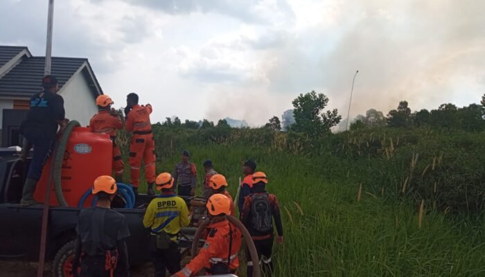 Kebakaran Lahan Rambah Wilayah Syamsudin Noor