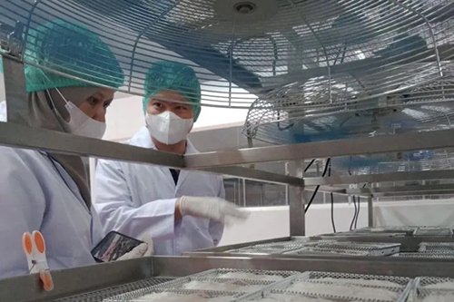 Pengiriman Sarang Walet Kalsel Capai 114,32 ton 1 1111