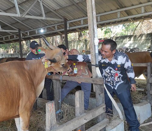 Hal 10 3 Klm BJb 2 3