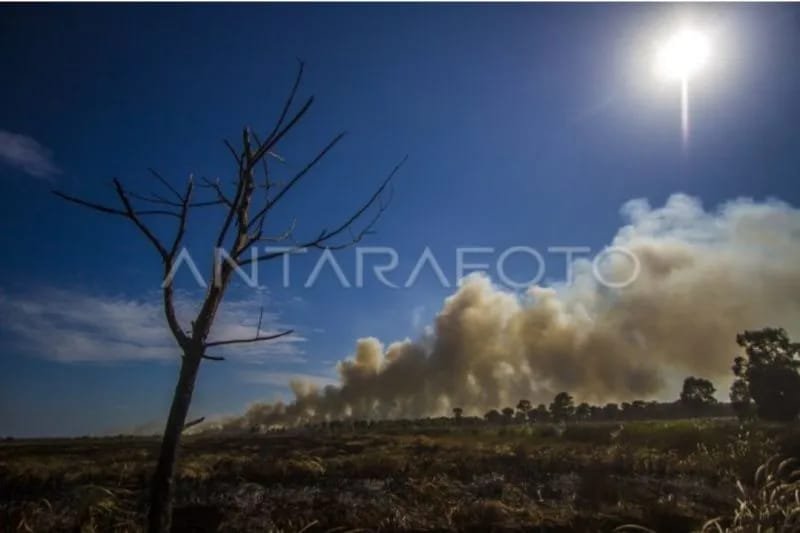 Agustus - Oktober Sebagian Kalimantan Alami Hujan Sangat Rendah 1 IMG 20230621 WA0025