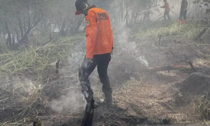 Ada 2.168 titik api Karhutla yang tersebar di Kalimantan Selatan