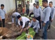 Setwan Kaloboarasi Insan Pers DPRD, Bagikan Daging Kurban dari Bank Kalsel
