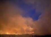 BPBD Kalsel Sebut 42 Hektare Lahan Terbakar, Bentuk Lima Posko Cegah Karhutla