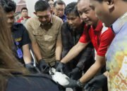 Musnahkan 1,3 Kilo Sabu dan 1.024 Butir Ekstasi20.753 Jiwa Terselamatkan dari Bahaya Narkoba