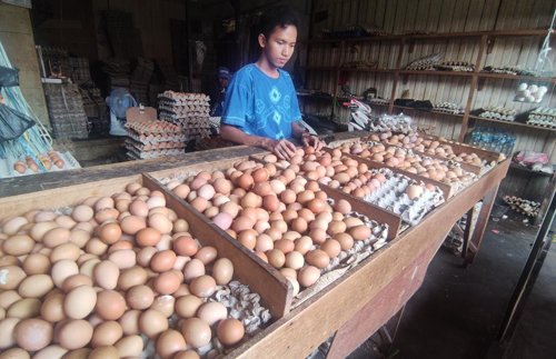 8 3klm telur