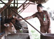 Guntung Manggis Banjarbaru Raih Terbaik Pertama
