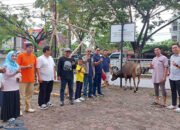 Sambut Hari Raya Idul Adha, Kadin Kalsel Sembelih Sapi dan Satu Kambing