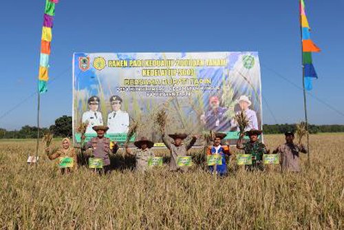 Hal 12 Tapin 35 klm 8