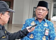 Konsisten Lumbung Padi Kalsel Batola Jaga Stabilitas Pangan