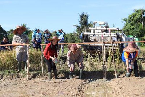 Hal 2 Rantau 4 klm 6