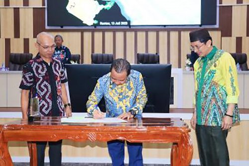 Konsultasi Publik Satu Revisi RTRW Kabupaten Tapin 2023-2043 1 Hal 2 Rantau 4 klm 8