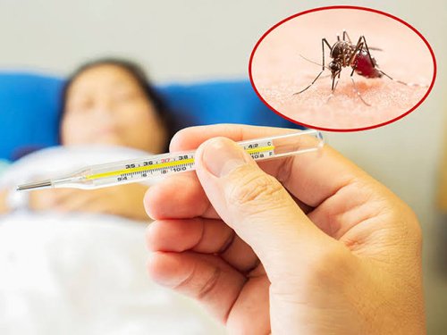 Hal 9 3 Klm Nyamuk DB