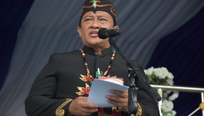 Ini Pesan Wagub Edy Pratowo di Upacara Peringatan Hari Jadi ke-73 Barito Utara