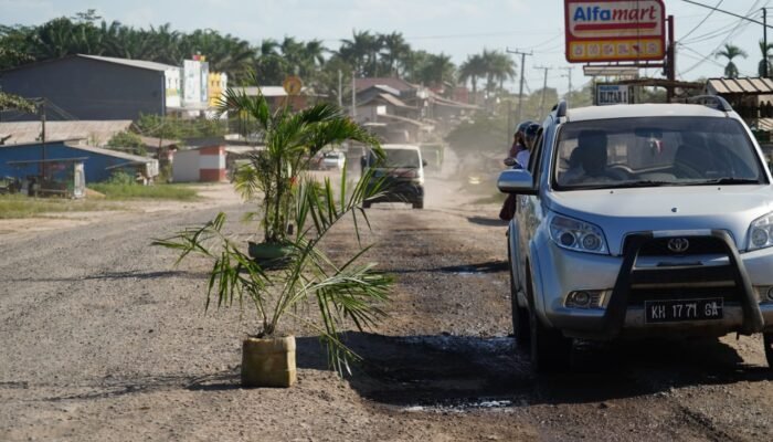 Jalan Nasional Rusak ‘Ditanami Pohon’, Ini Reaksi Gubernur Kalteng